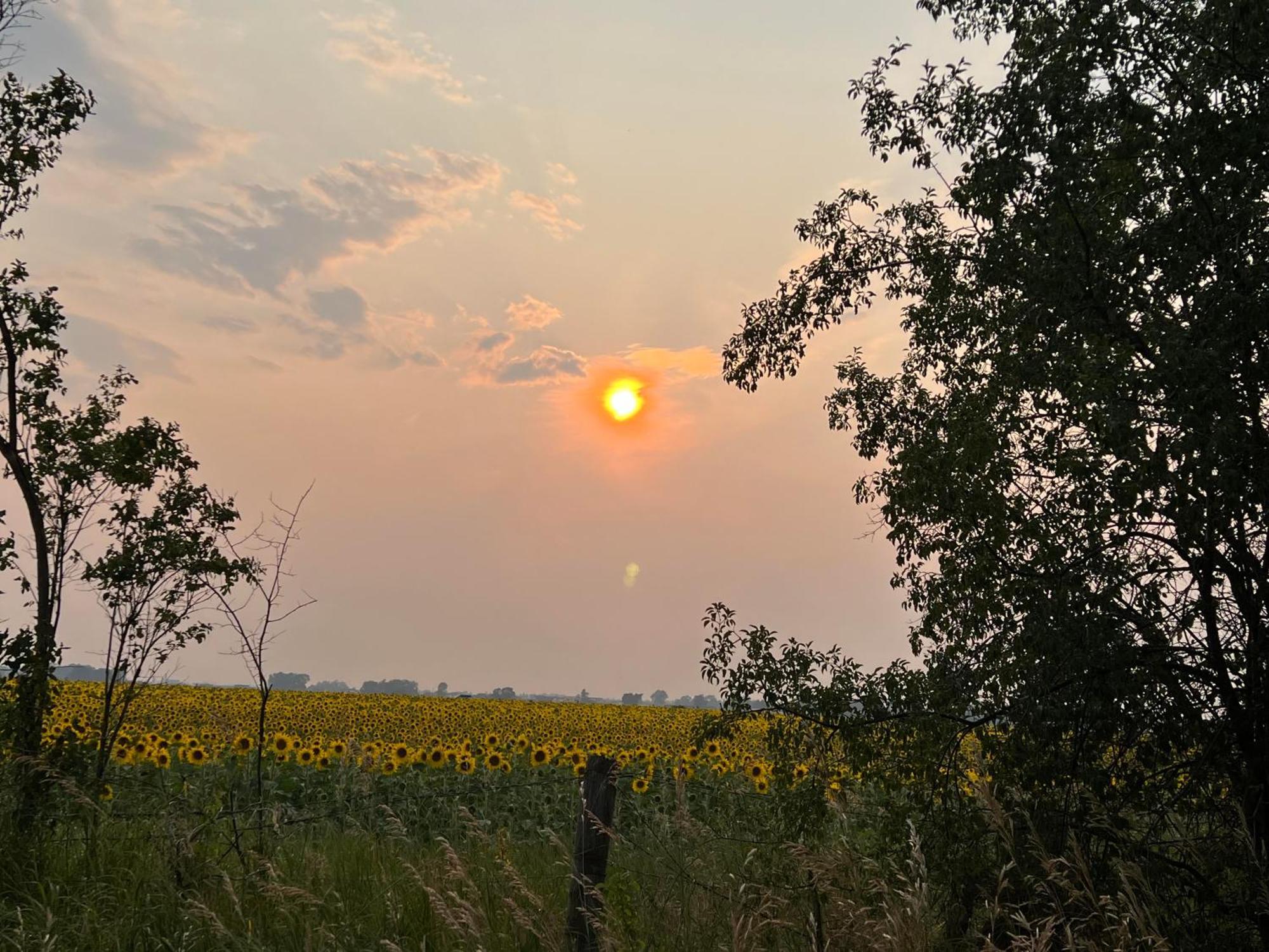 Fox Hollow Inn Bozeman Zewnętrze zdjęcie
