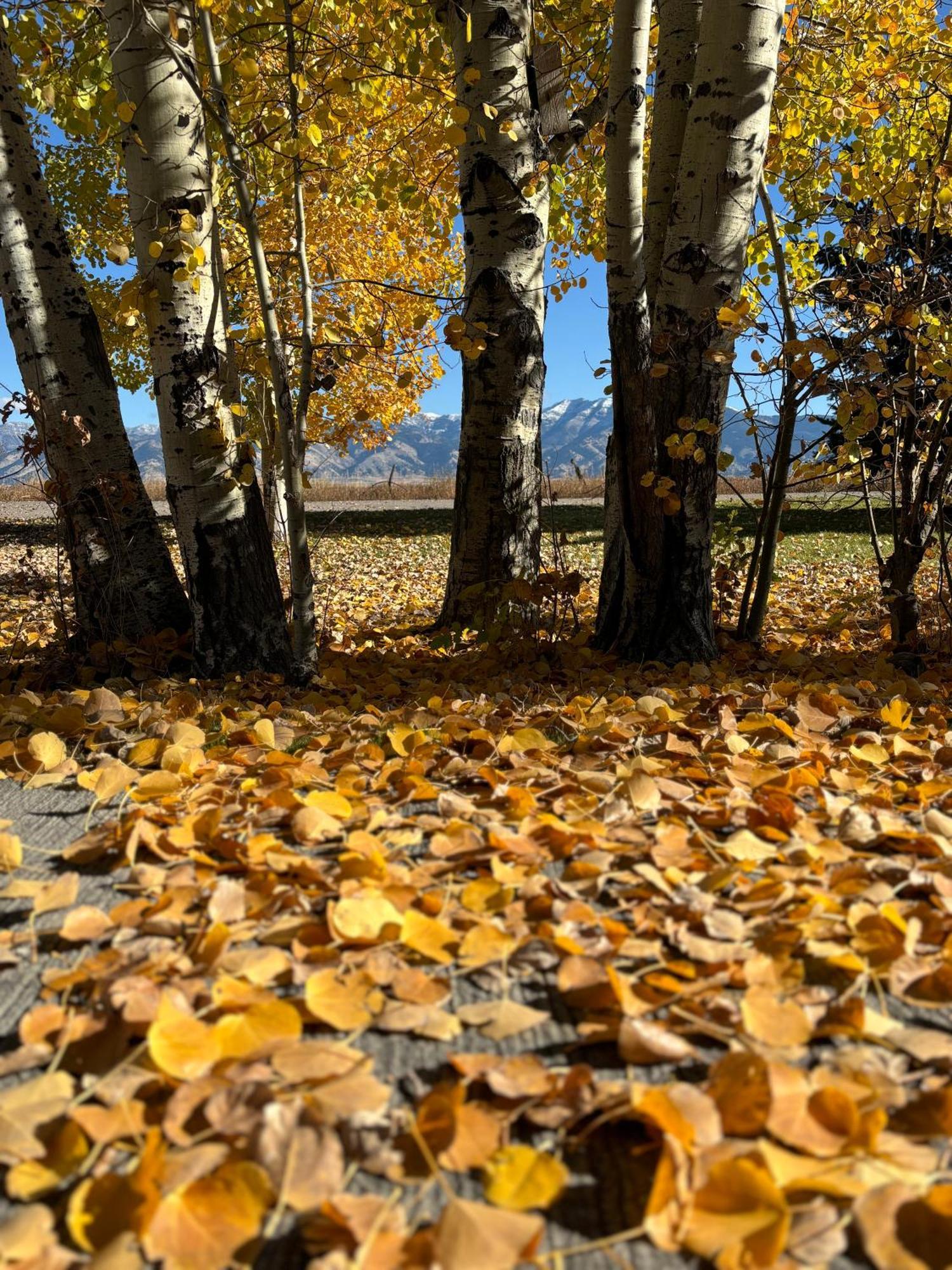Fox Hollow Inn Bozeman Zewnętrze zdjęcie